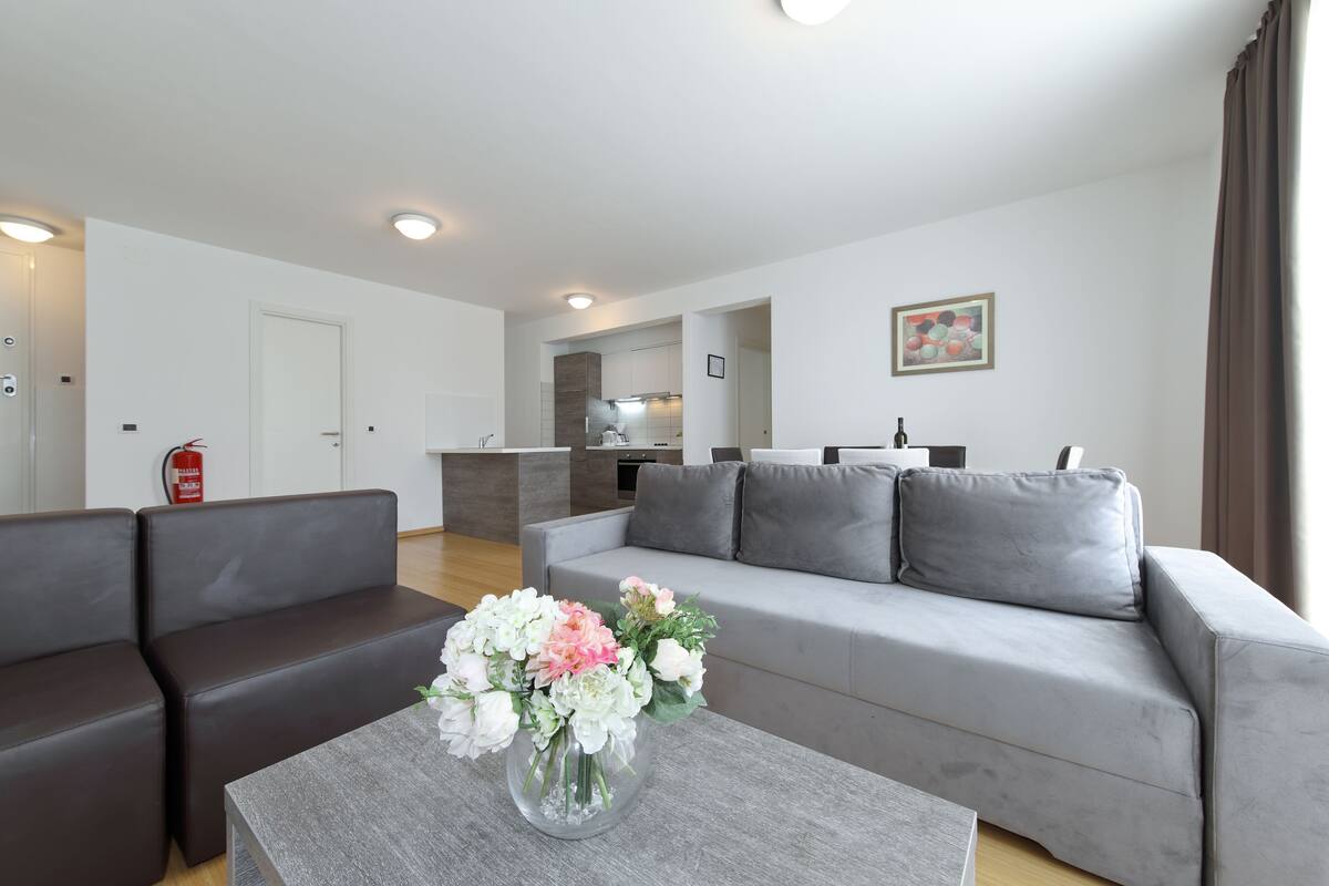 Superior Apartment, 2 Bedrooms, Terrace | Living area | LCD TV