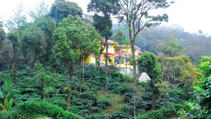 A multi-story building surrounded by dense forest. - Amritasthanam Guest House And Retreat (Madikeri)
