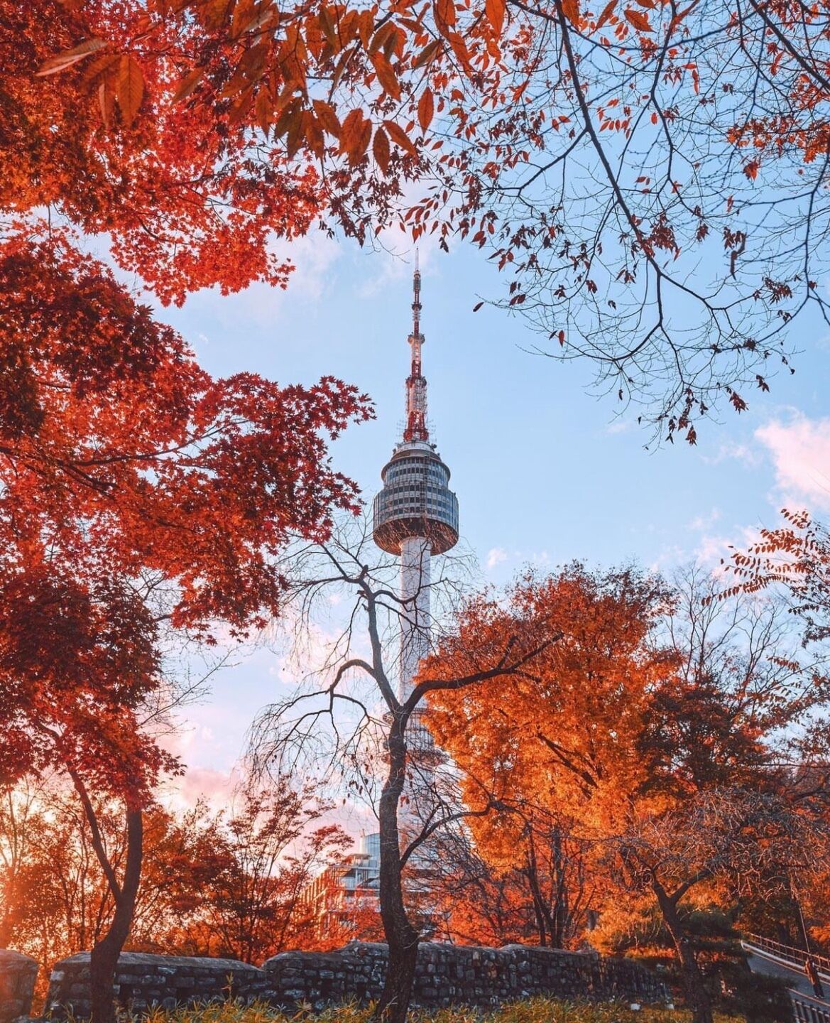 Foto - LEX Tourist Hotel