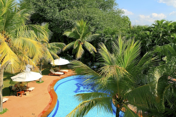 Outdoor pool, pool umbrellas, pool loungers