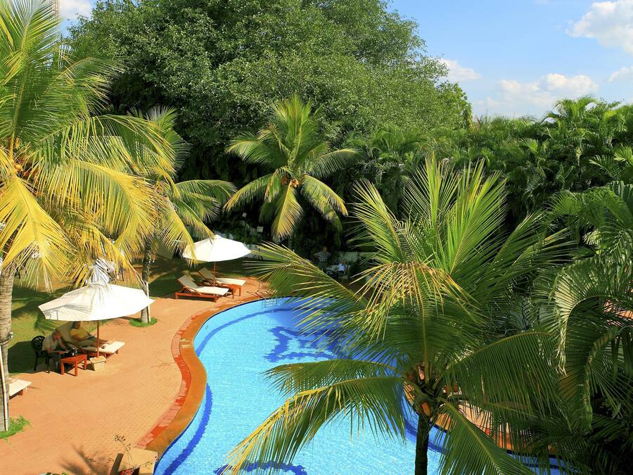 A swimming pool surrounded by palm trees and greenery, with a 'No Diving' sign visible.