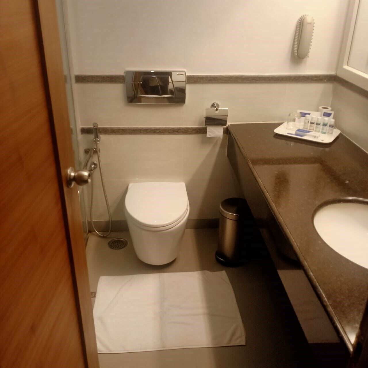 executive room | bathroom | shower, rainfall showerhead, free toiletries, hair dryer