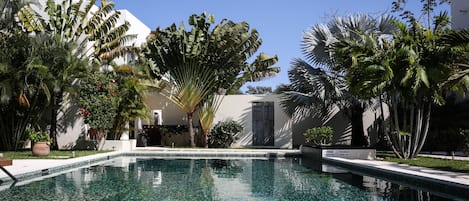 Outdoor pool, sun loungers