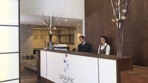 A reception desk with a modern design, a wooden accent wall, and a decorative vase. - Hotel Spark Antofagasta (Antofagasta)