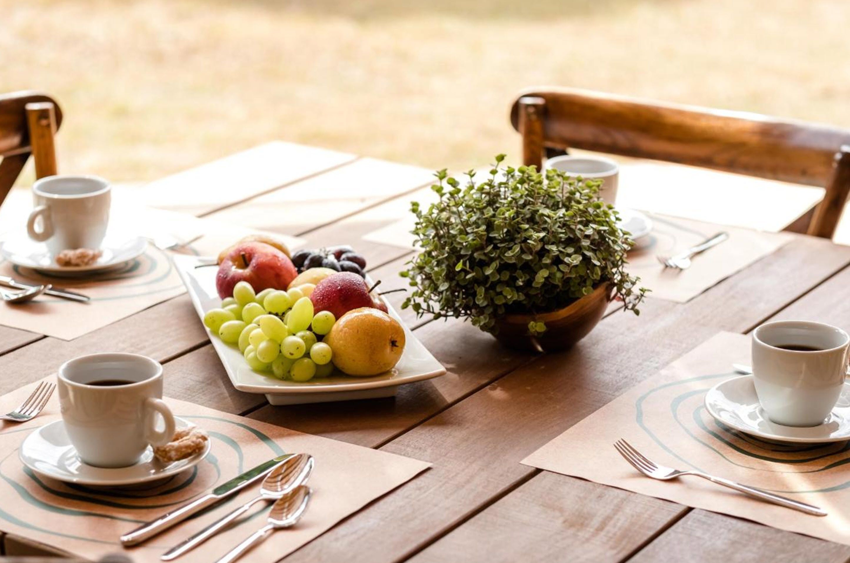 A wooden table set with a fruit plate, a potted plant, and two cups of coffee.