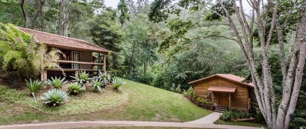 Una cabaña de madera con balcón, rodeada de exuberante vegetación y árboles.