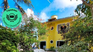 A courtyard with a yellow building, a paved walkway, and lush greenery. - Aguamarinha Pousada (Ipojuca)