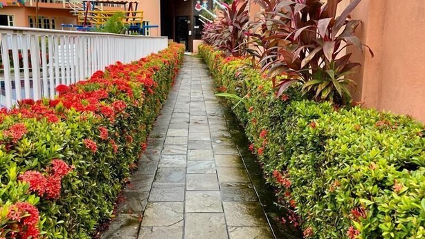 A stone pathway flanked by vibrant red and green plants, leading to a building with a red roof and white fence. - Recanto Sonhos do Porto (Ipojuca)