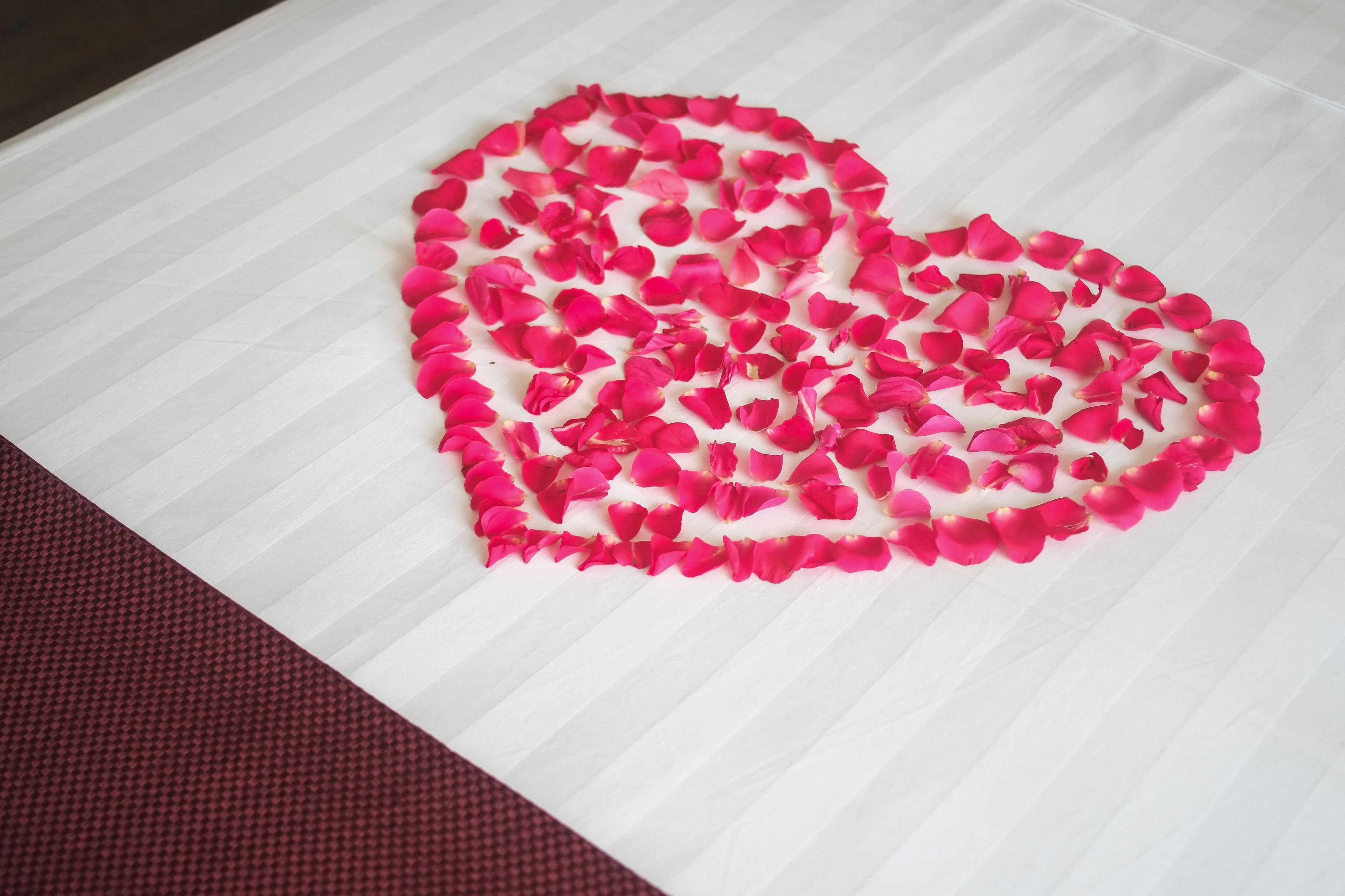 A heart-shaped arrangement of pink rose petals on a white surface with a striped pattern.