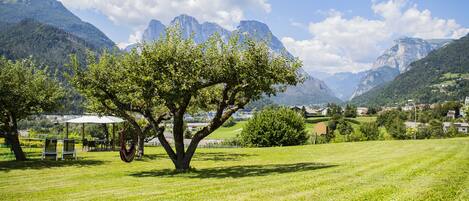 Un campo cubierto de césped con un árbol grande y una hamaca.
