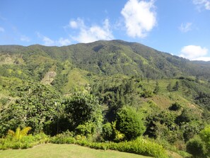 Vue sur les montagnes