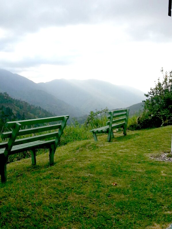 Two green benches on a grassy hill with a view of mist-covered mountains in the background. - Starlight Chalet (Silver Hill Gap)