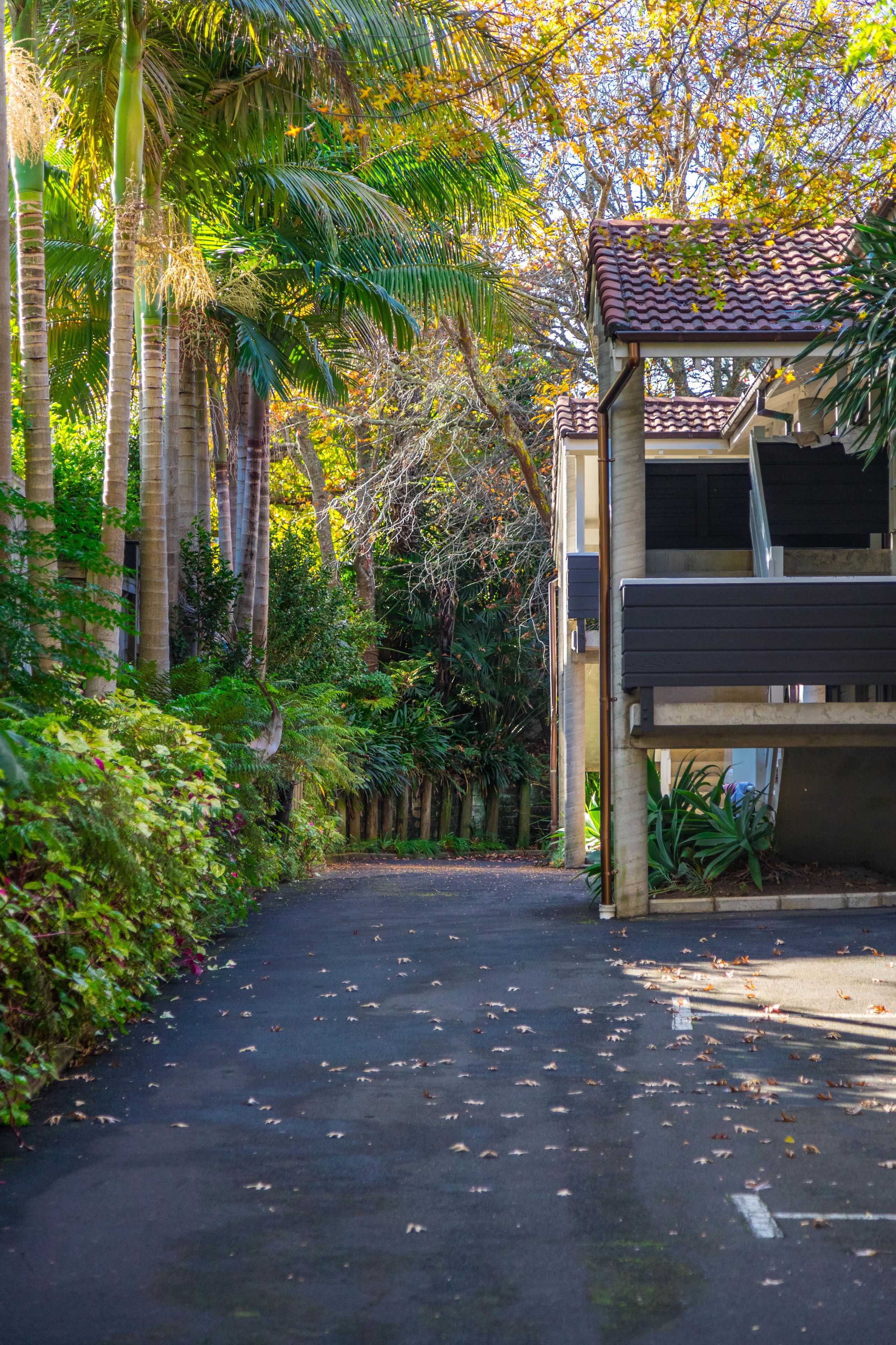 Foto - Emerald Inn on Takapuna Beach