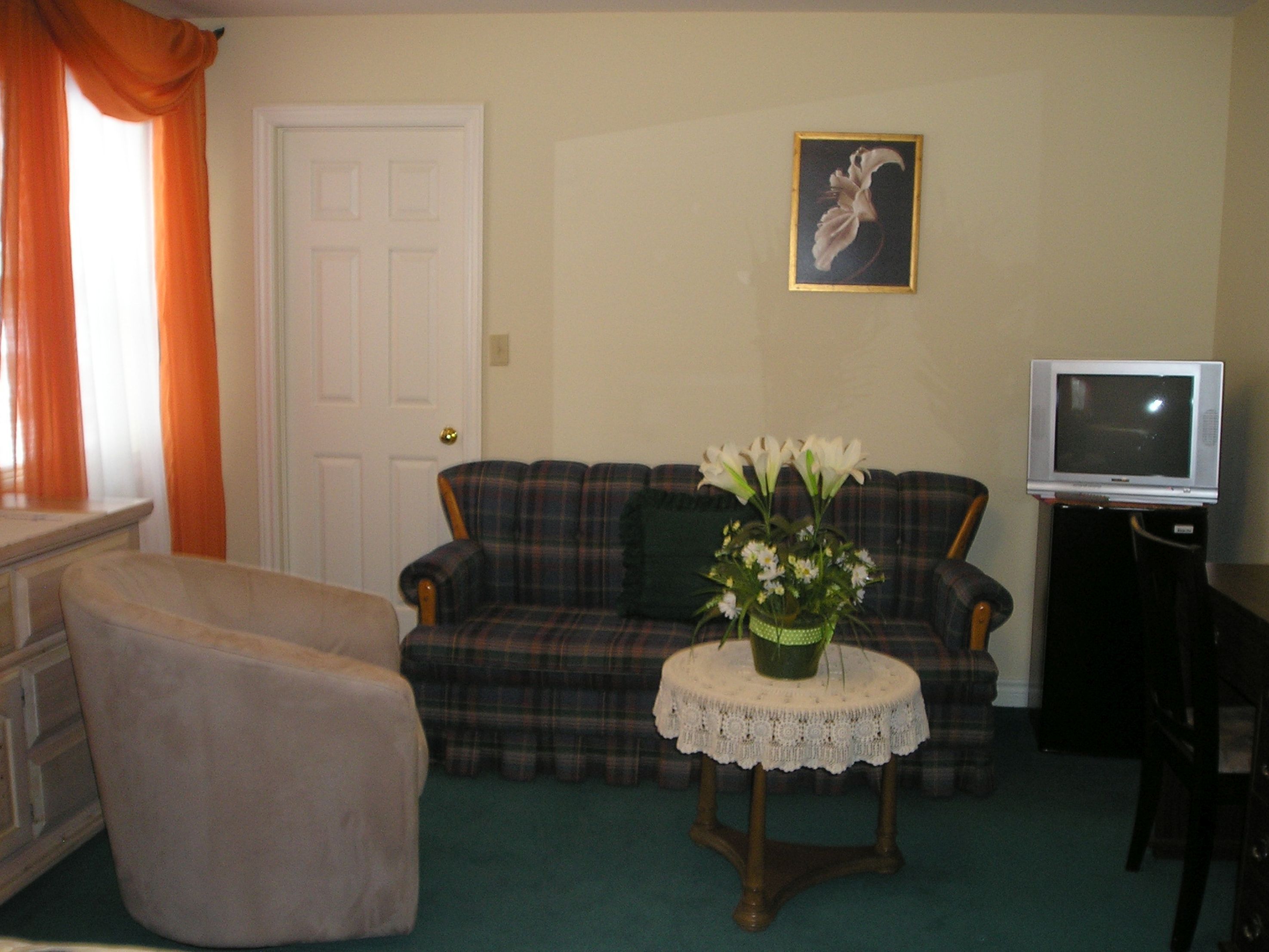 A living room with a plaid sofa, a small round table with a vase of flowers, a television on a stand, and a door with an orange curtain.