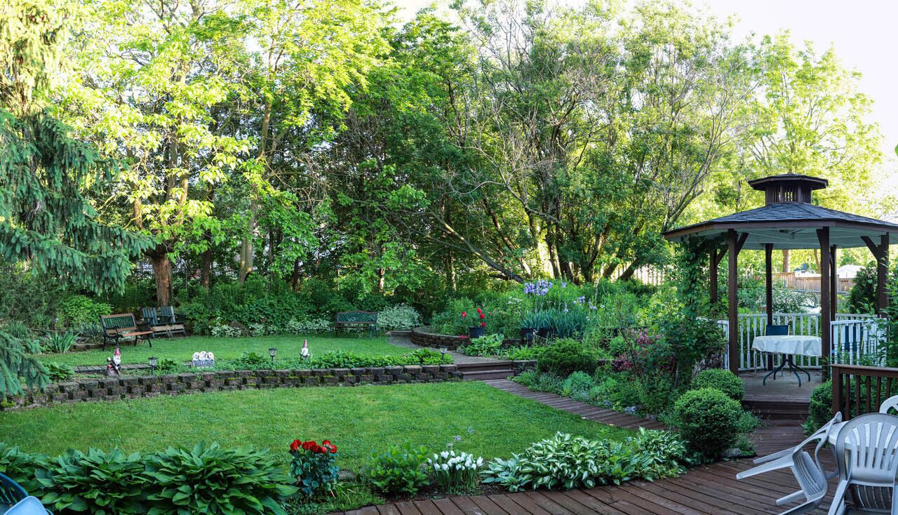 Foto - Susan's Villa