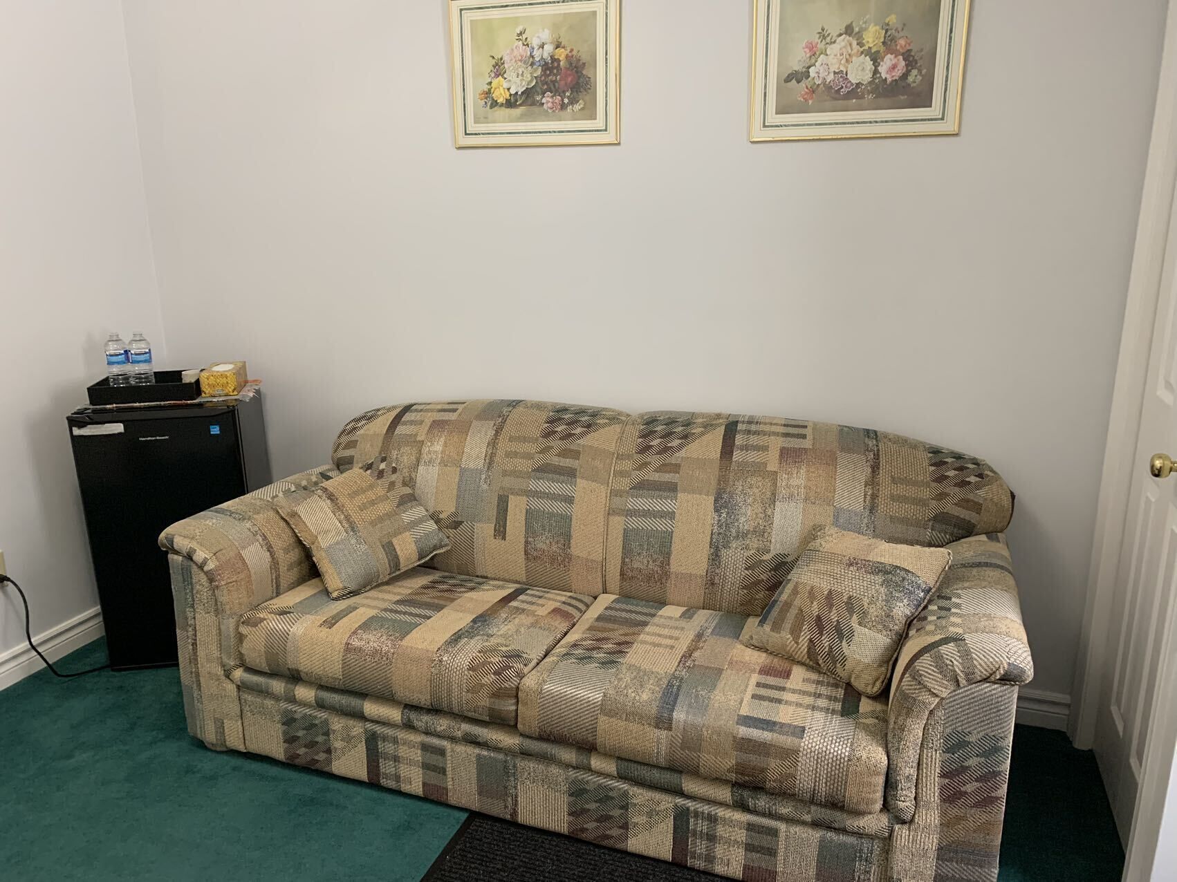Una habitación con un sofá estampado, dos cuadros florales enmarcados en la pared, un mueble negro y una alfombra verde.