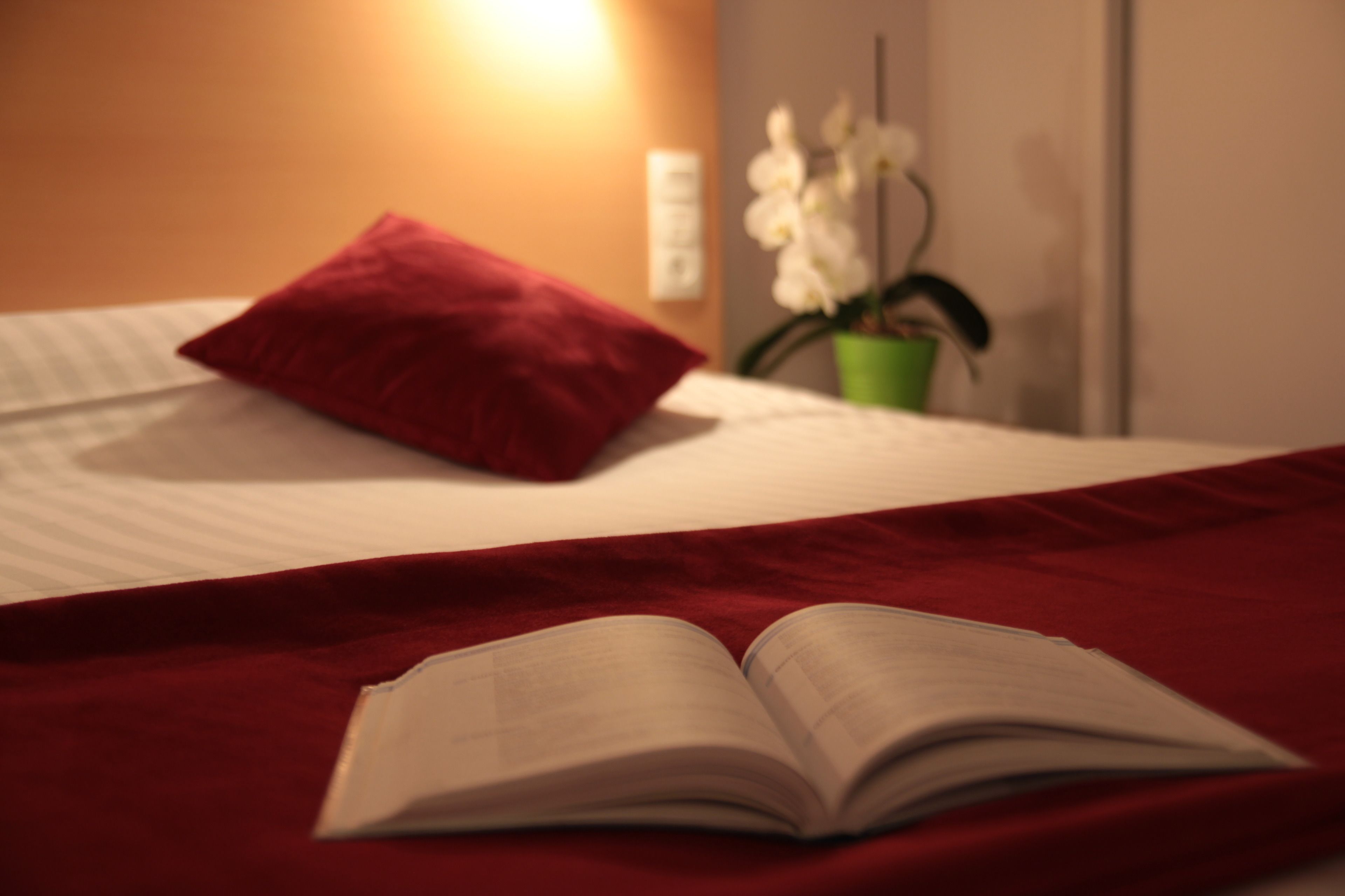 Una cama con un almohadón rojo, una planta verde y un libro abierto sobre una manta roja.