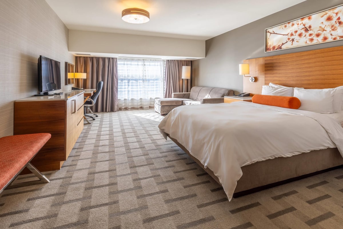 room, 1 king bed, accessible, non smoking | 1 bedroom, premium bedding, in-room safe, desk