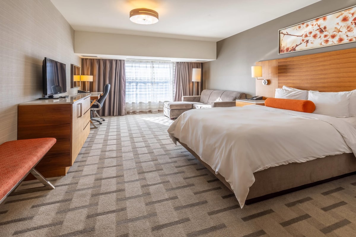 Room, 1 King Bed, Accessible, Non Smoking