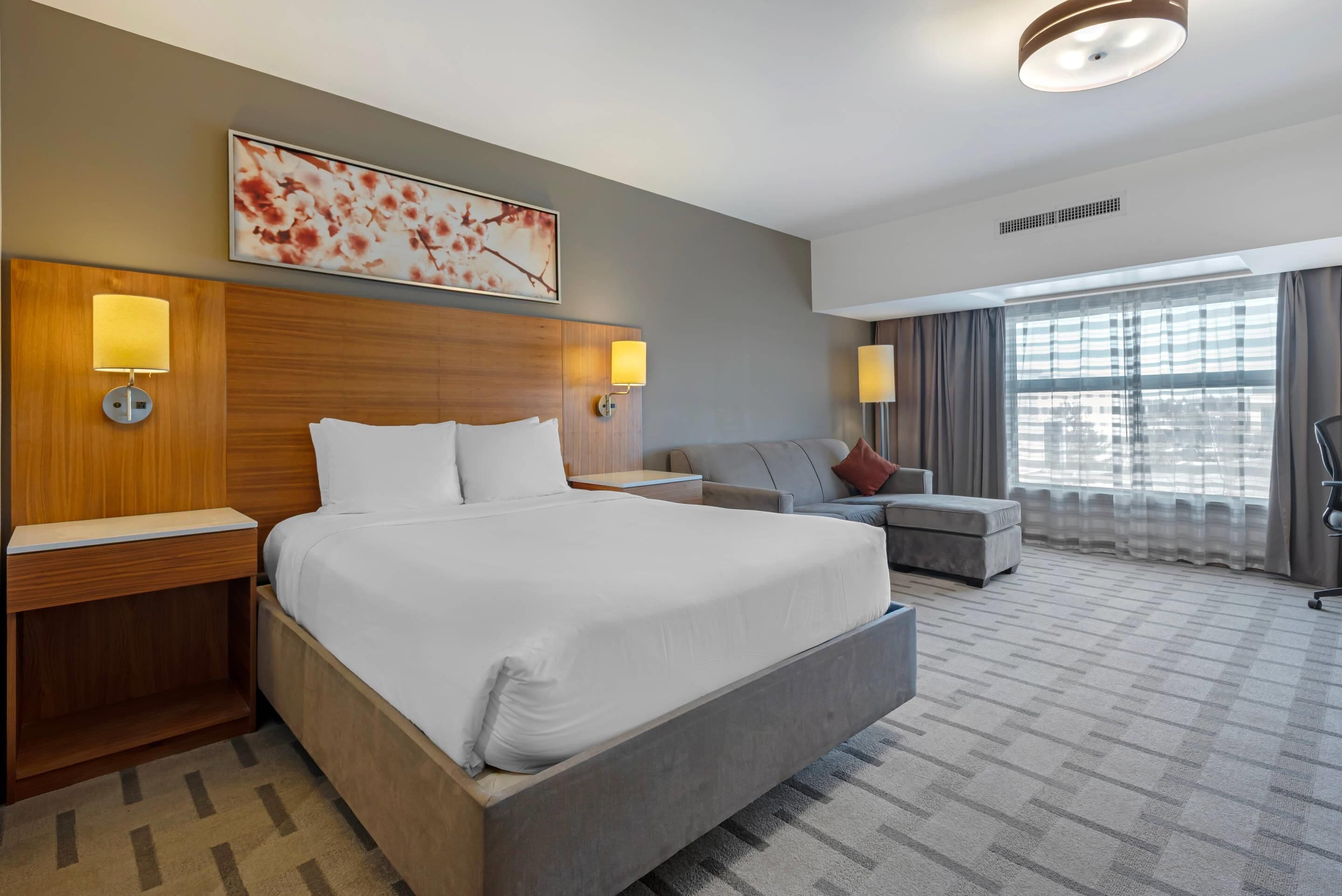 Room, 1 Queen Bed, Non Smoking