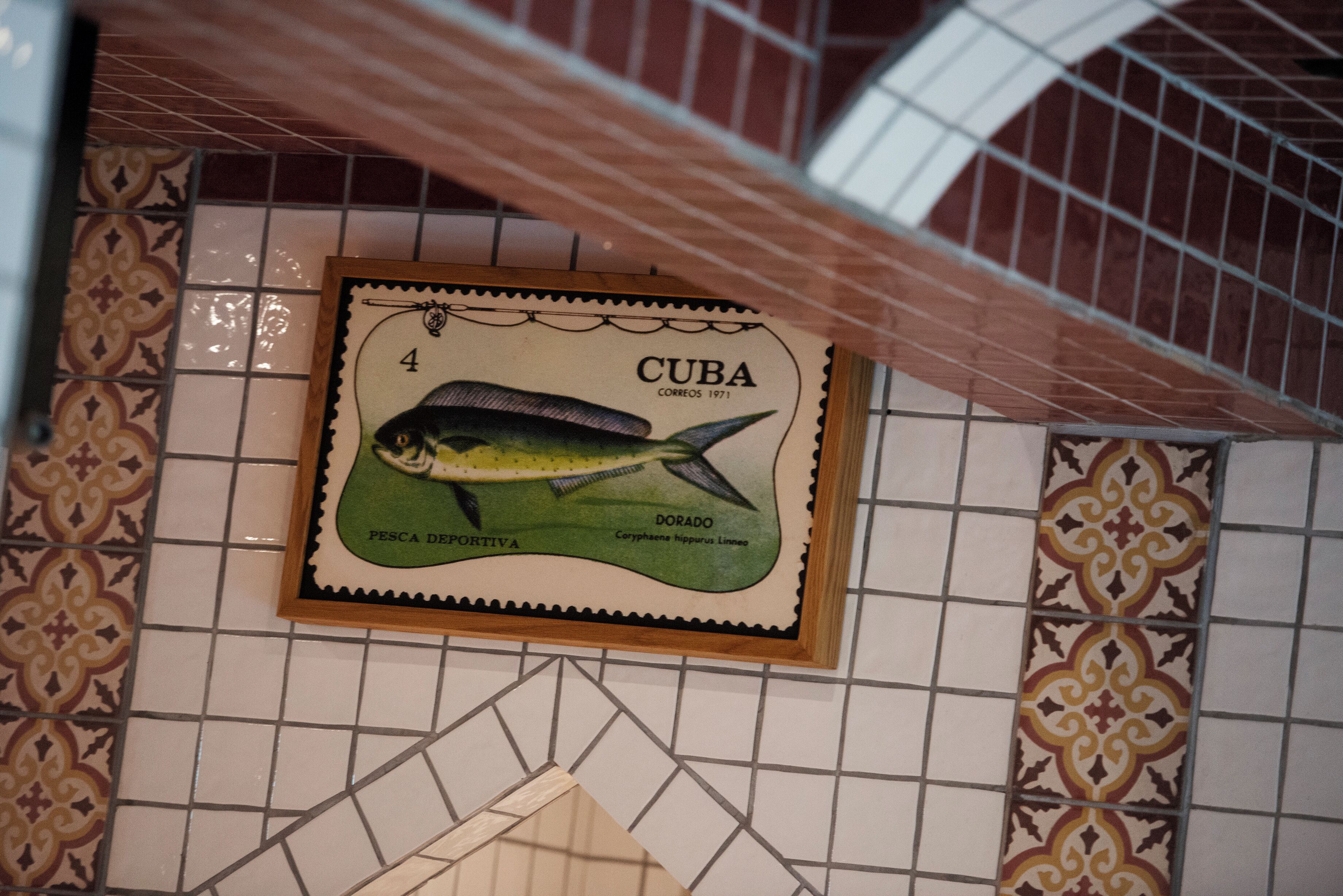 sauna, steam room, facials