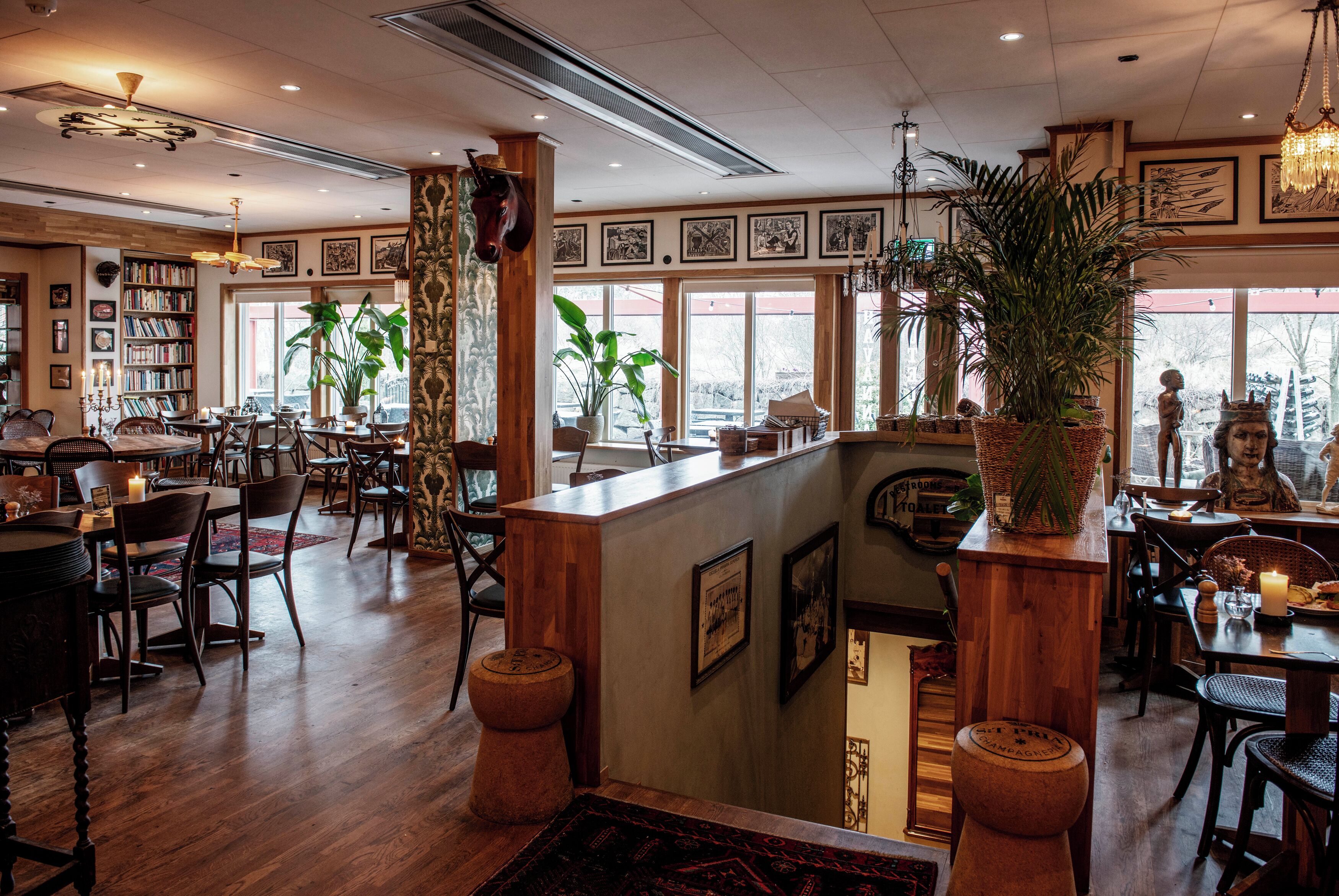 dinner served, al fresco dining