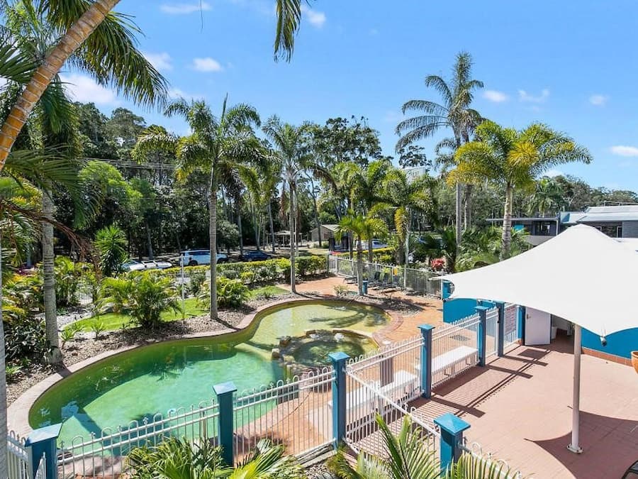 A pool area with a curved design, surrounded by palm trees and a white canopy structure.