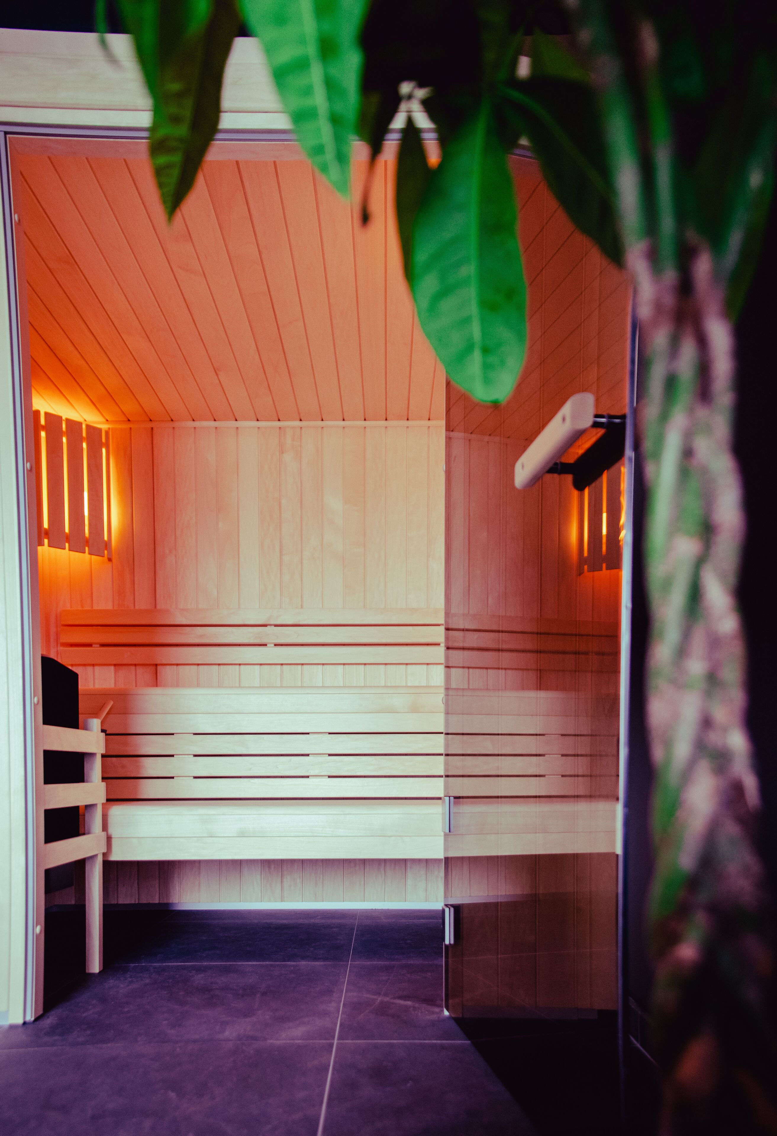 Sauna, hot tub, steam room