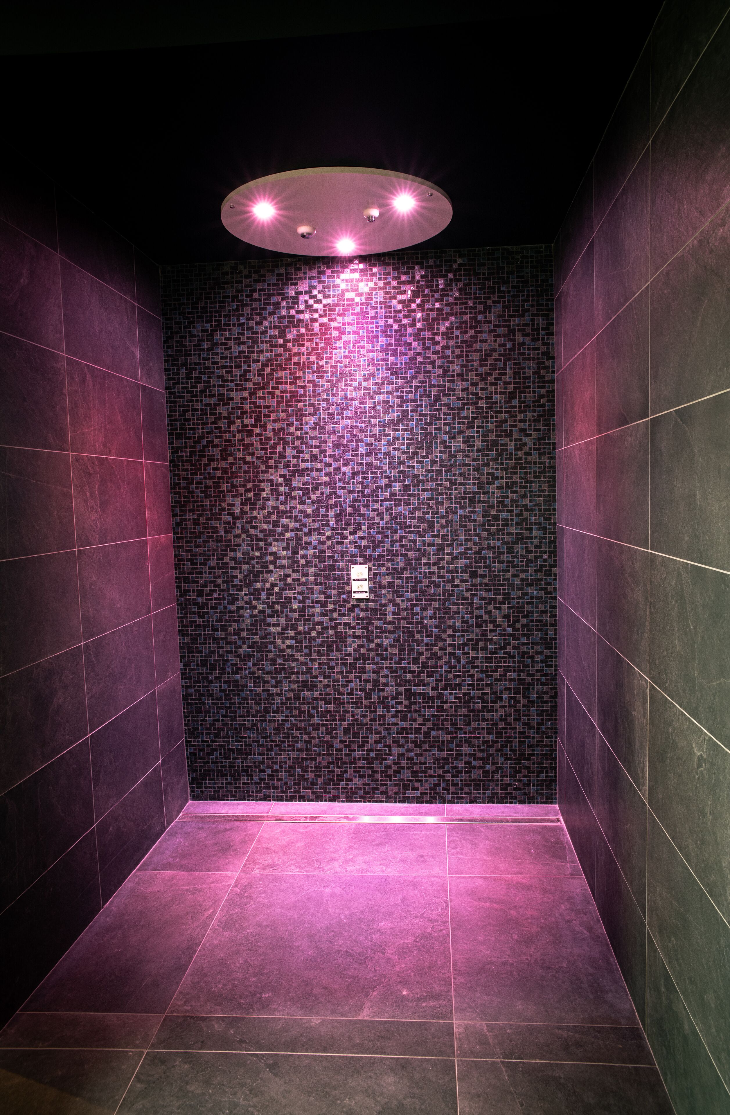 sauna, hot tub, steam room