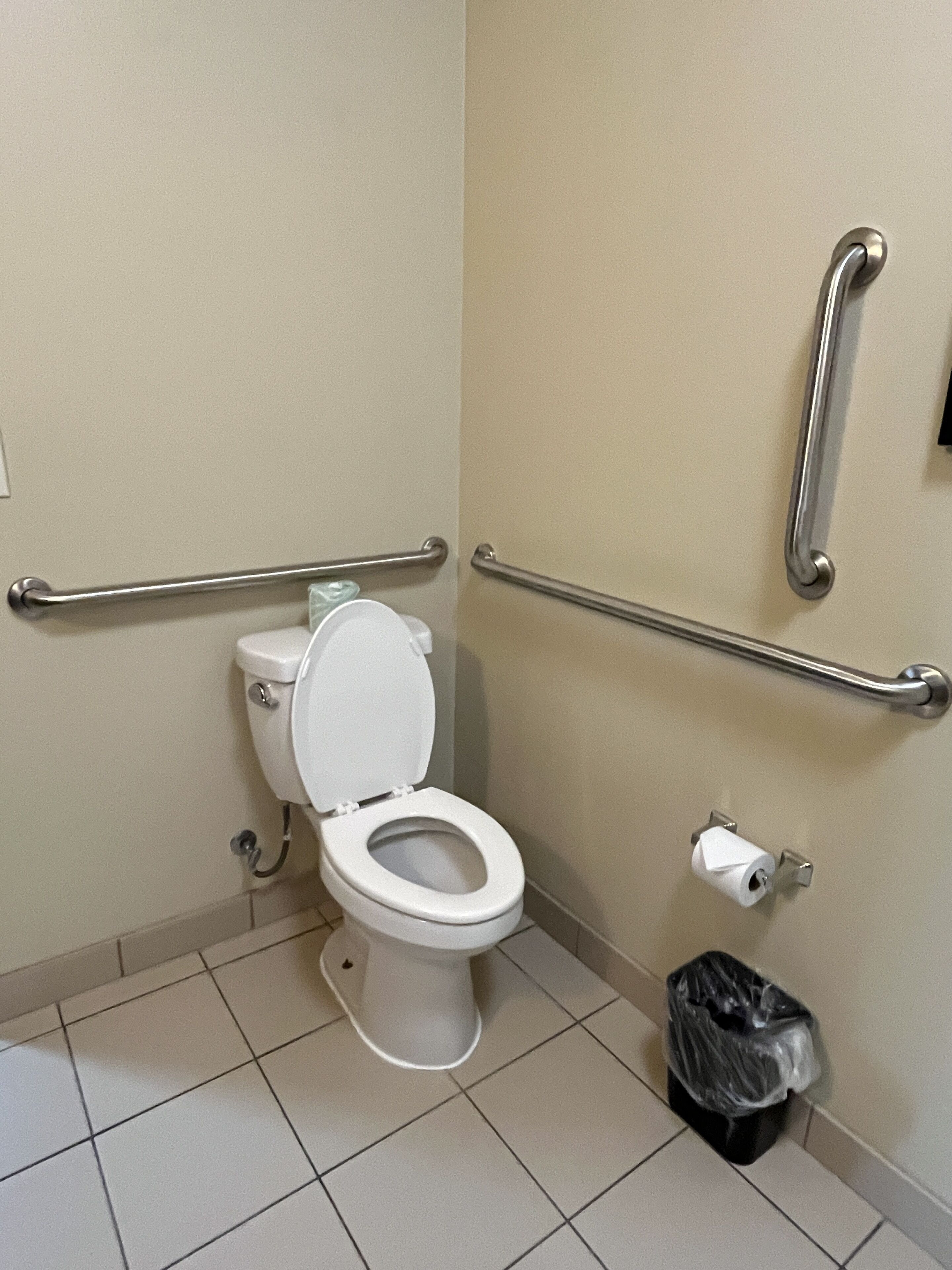 standard room, 1 king bed, accessible (roll-in shower) | bathroom | hair dryer, towels