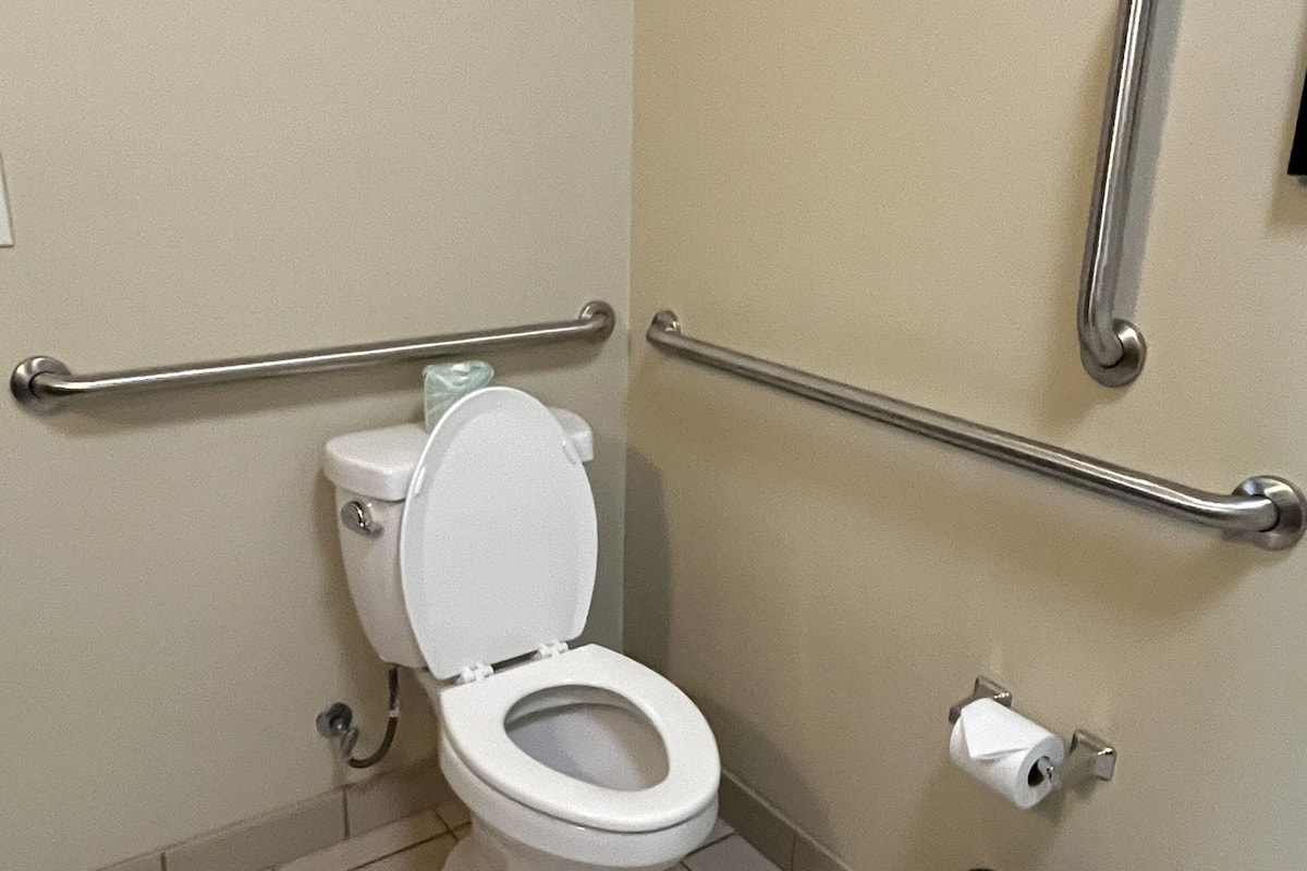 standard room, 1 king bed, accessible (roll-in shower) | bathroom | hair dryer, towels