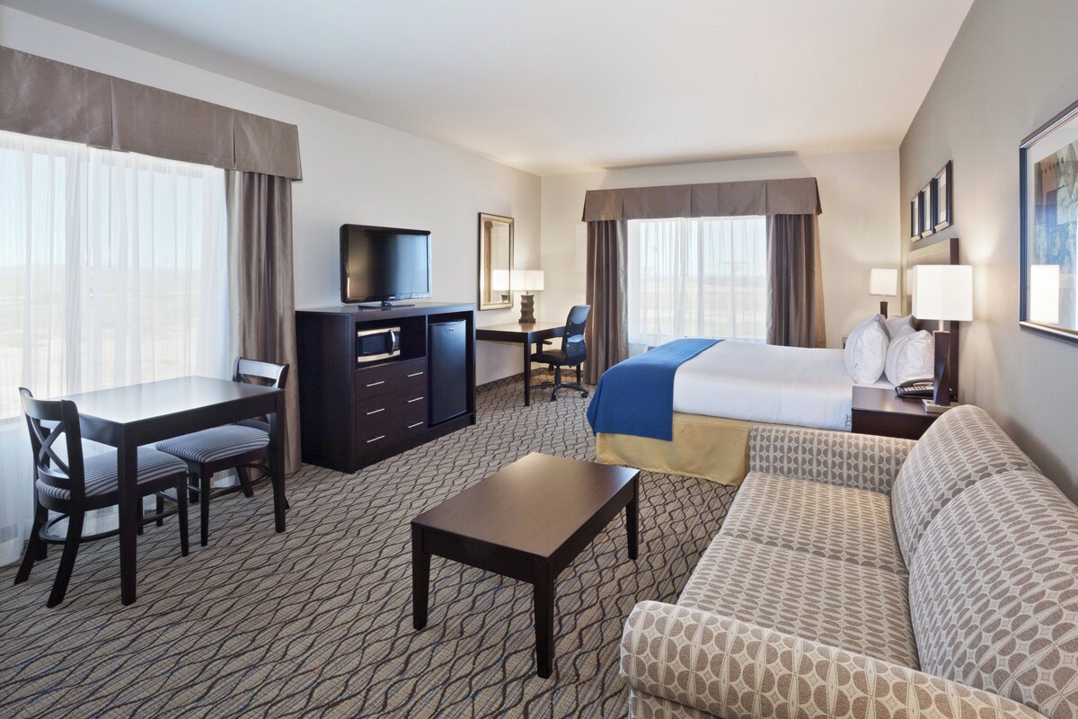 A hotel room with a bed, a desk, a television, a sofa, and a carpeted floor.