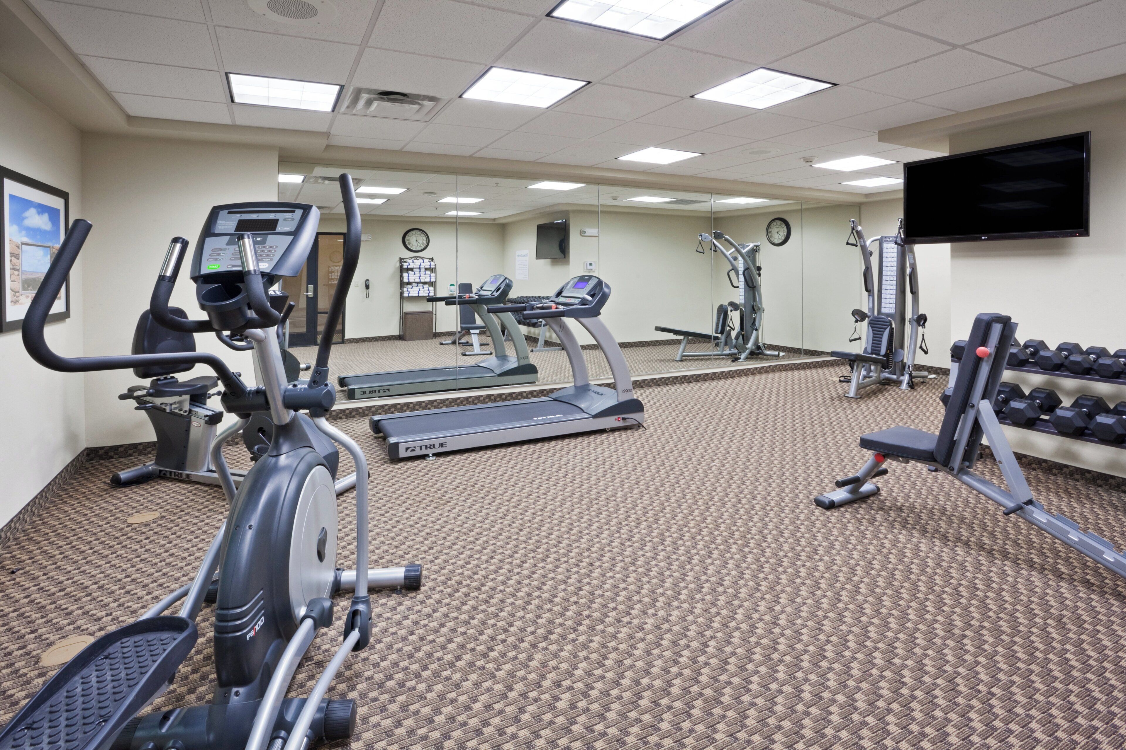 A gym with treadmills, elliptical machines, and free weights.