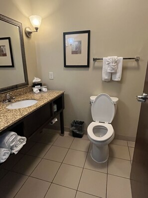 A bathroom with a sink, mirror, framed picture, toilet, and towel rack. - Holiday Inn Express Hotel & Suites Deming Mimbres Valley by IHG (Deming)