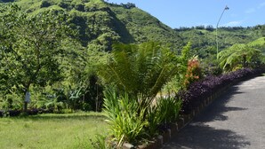 A paved road with lush greenery and a hill in the background. - Hotel Nadia Bromo (Sukapura)