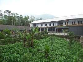 Vista da propriedade