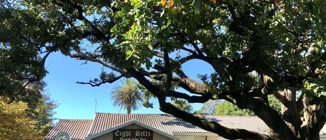 Entrada de la propiedad