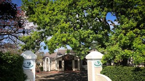A hotel entrance with a traditional archway, a sign indicating it is a country hotel, and a building with a tiled roof in the background. - Eight Bells Mountain Inn (Ruiterbos)