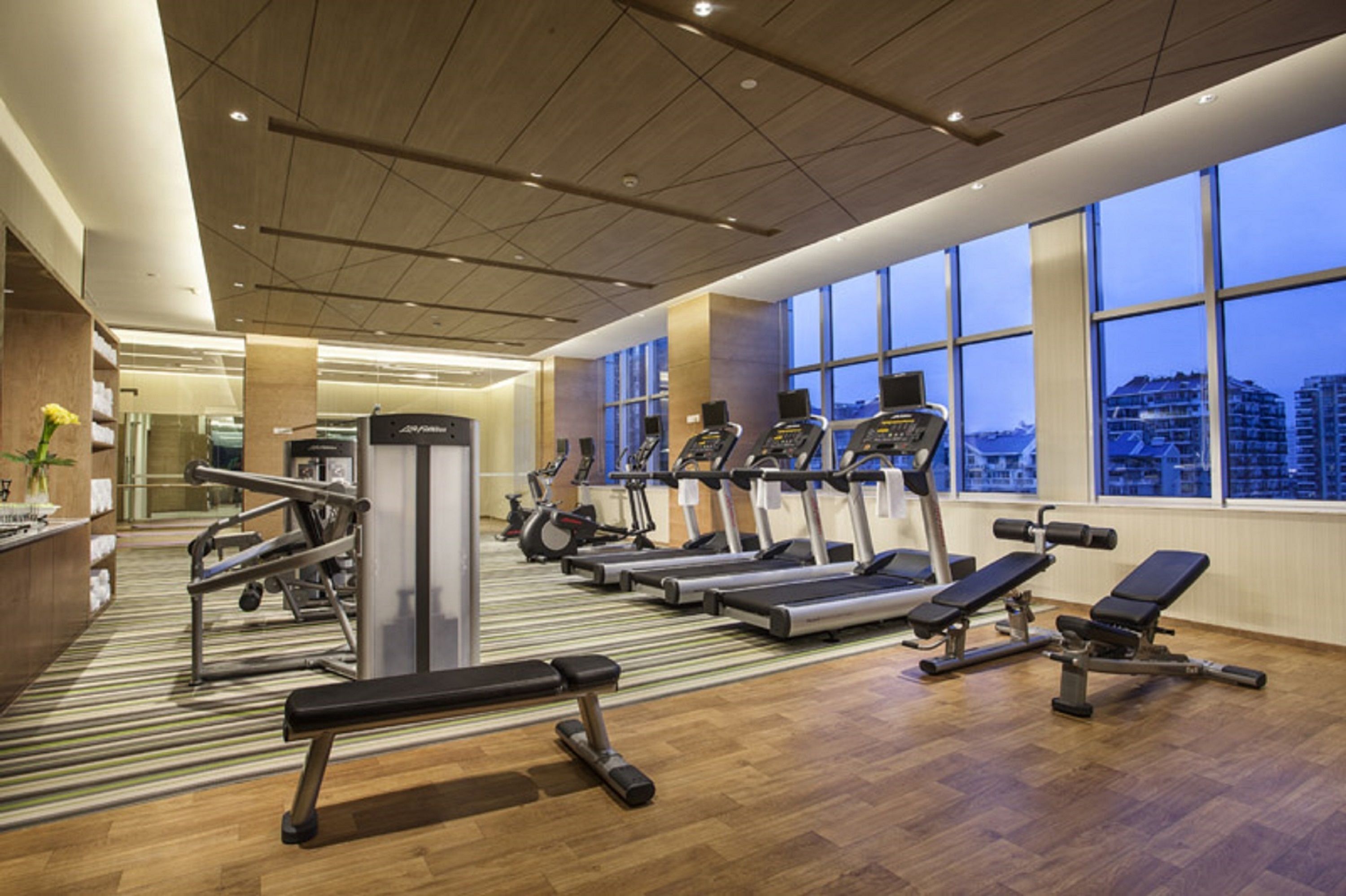 A modern gym with treadmills, elliptical machines, and weight benches.
