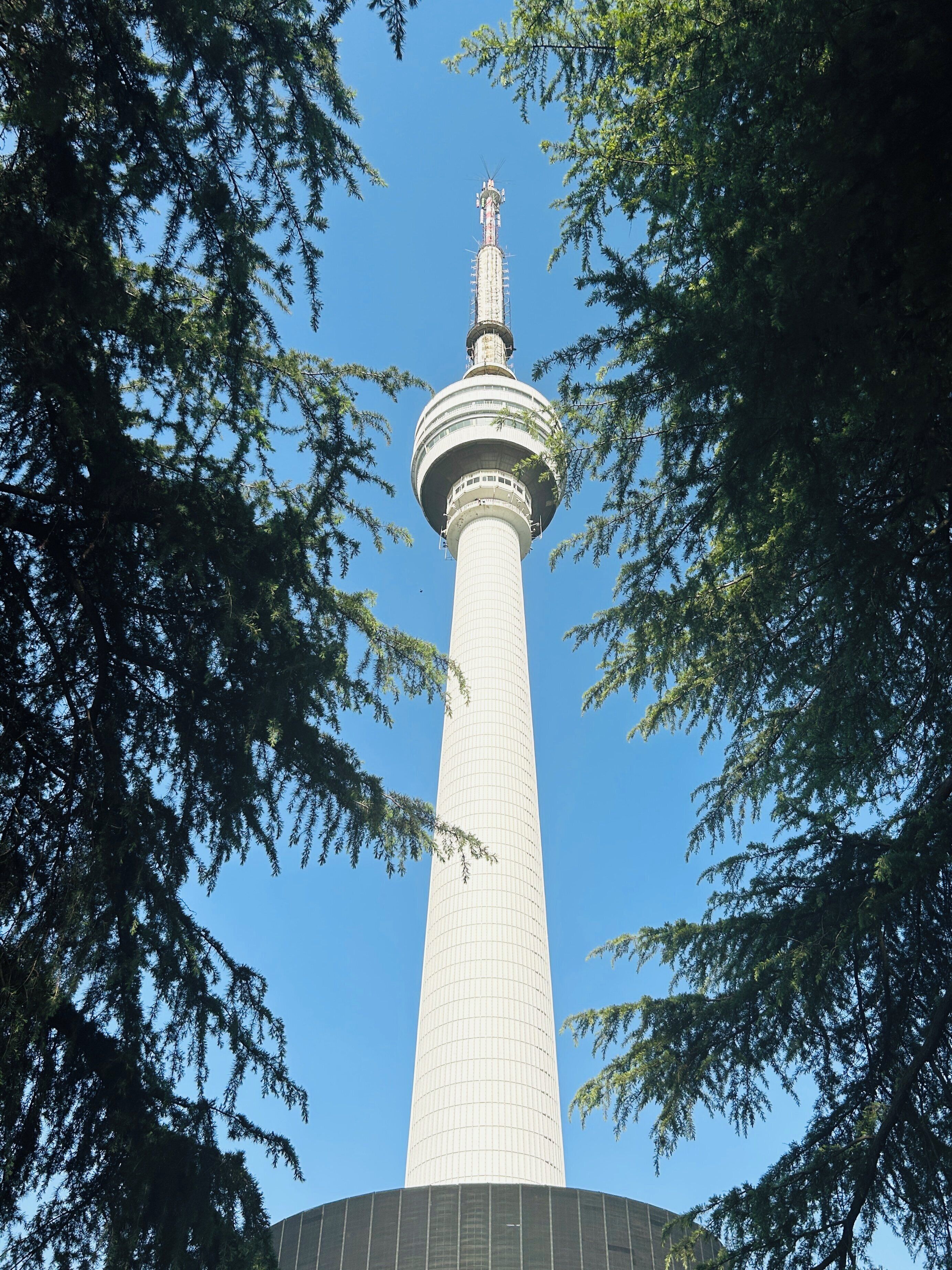 A tall tower with a spherical observation deck, surrounded by trees.
