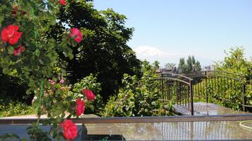 A garden with a metal bridge, lush greenery, and a mountain in the background.