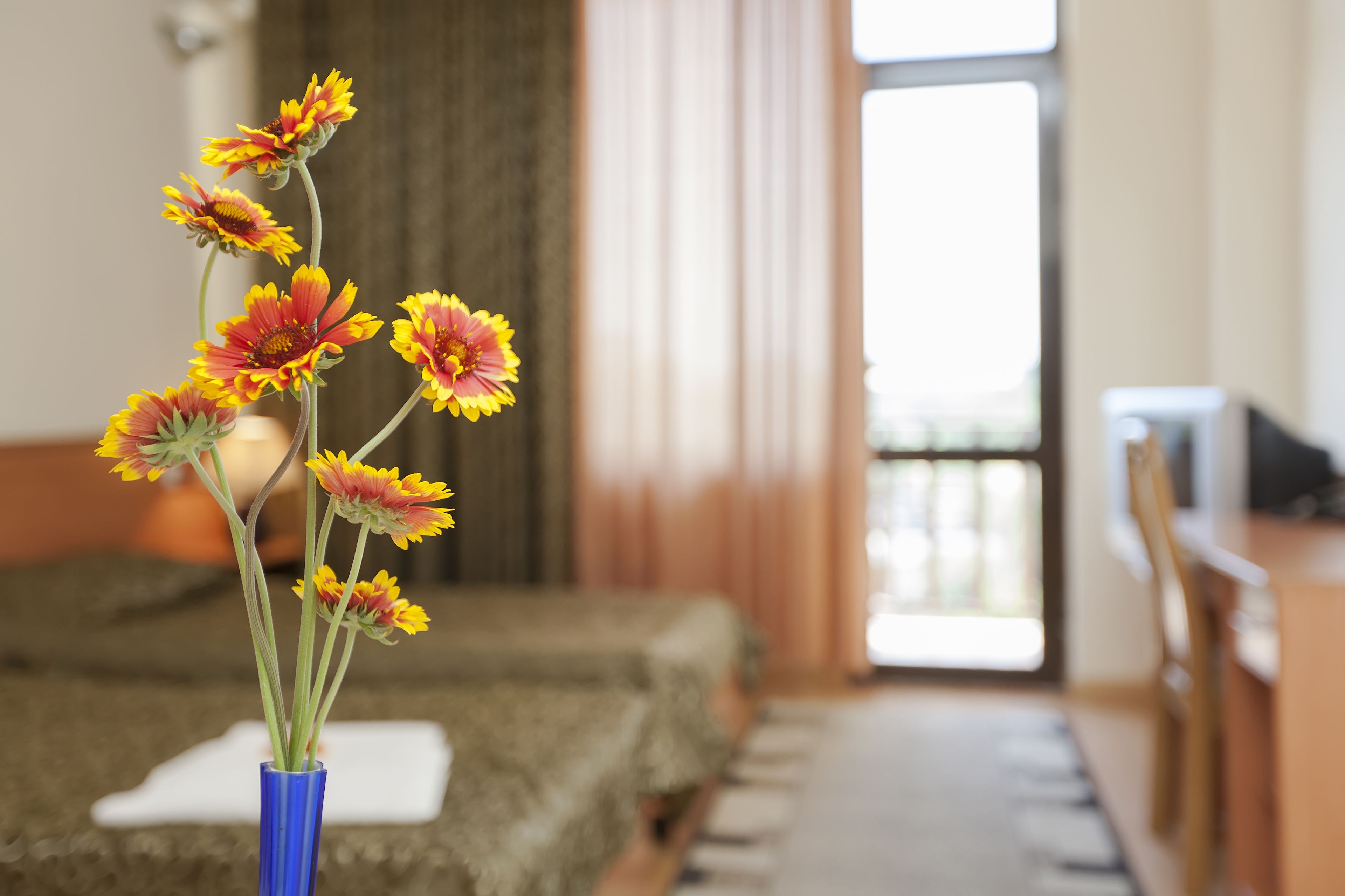 standard twin room, 2 single beds, pool view | 1 bedroom, premium bedding, minibar, desk