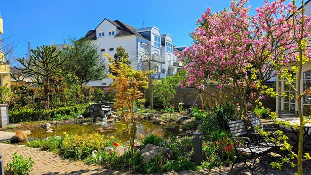 A garden with a pond, benches, and a white building in the background. - Hotel Restaurant Felix (Bensheim)