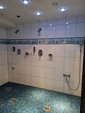 Sauna seca, sauna a vapor