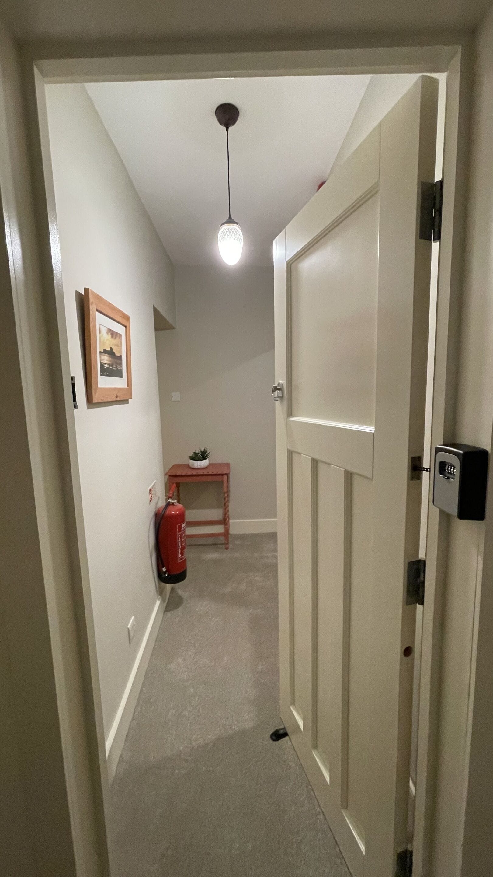 Un pasillo con una puerta, una lámpara en el techo, un cuadro enmarcado y una mesita con una planta.