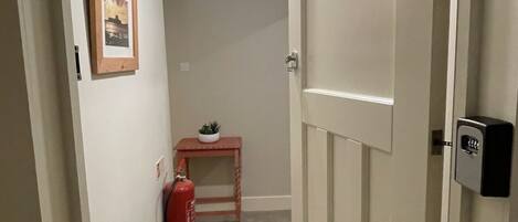 Un pasillo con una puerta, una lámpara en el techo, un cuadro enmarcado y una mesita con una planta.