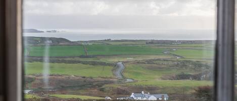 A rural landscape with a winding road, green fields, and a white house.