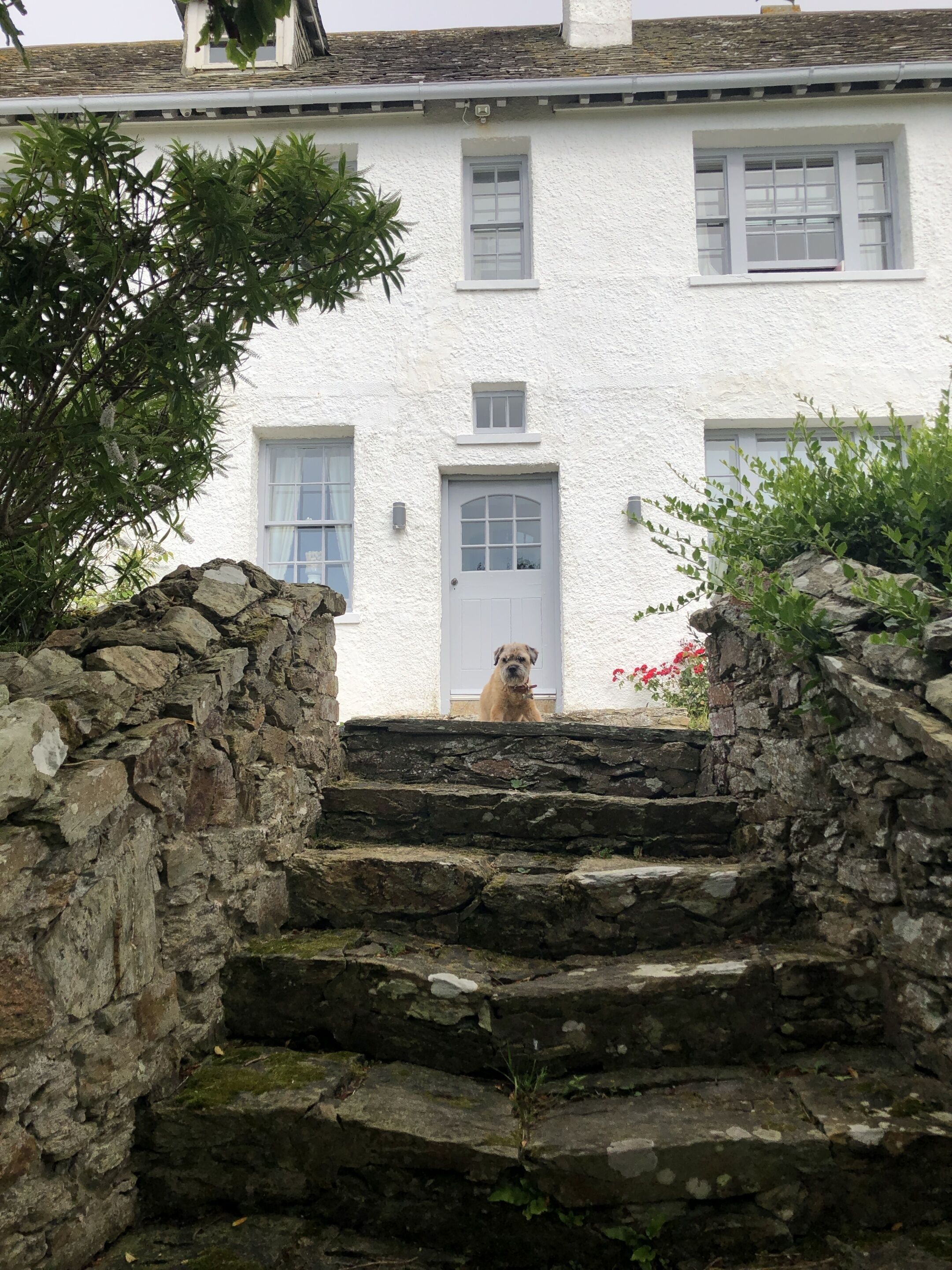 A stone staircase leading to a white building with multiple windows and a door.