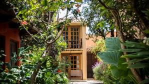 A courtyard with a wooden bench, a door, and lush greenery.