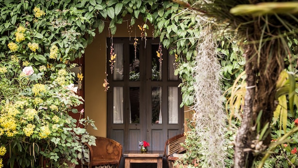 A cozy outdoor seating area with a wooden table and chairs, surrounded by lush greenery and a dark wooden door.